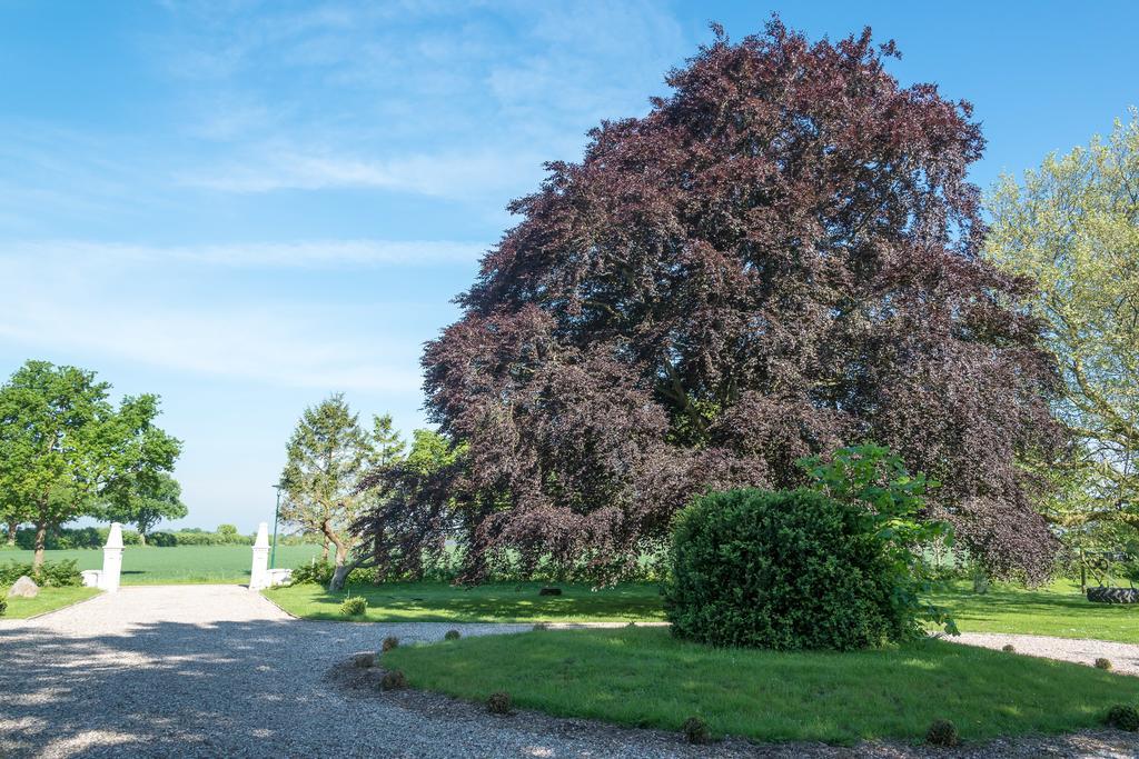 Ferienhof Kolauerhof - Bauernhofurlaub In 그로미츠 외부 사진